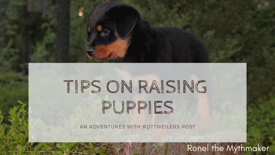 tips on raising puppies